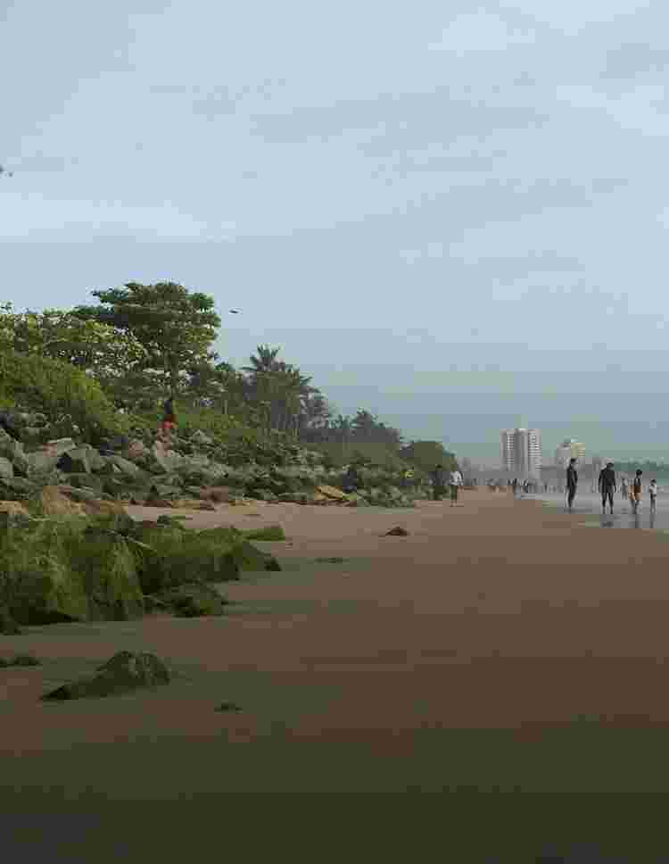 img-test
