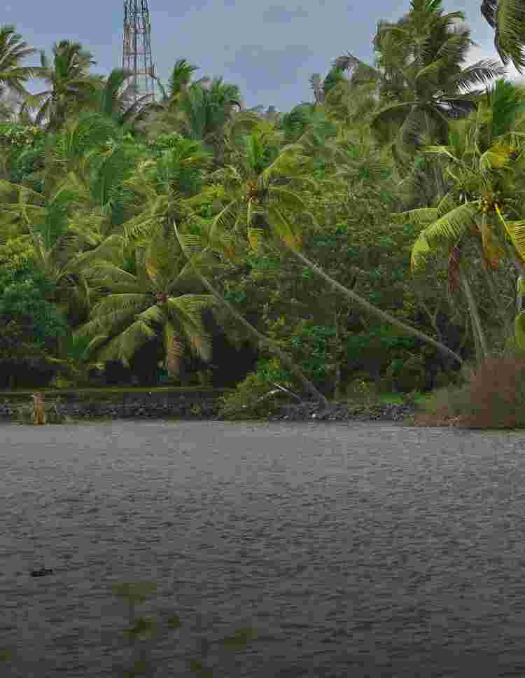 img-test