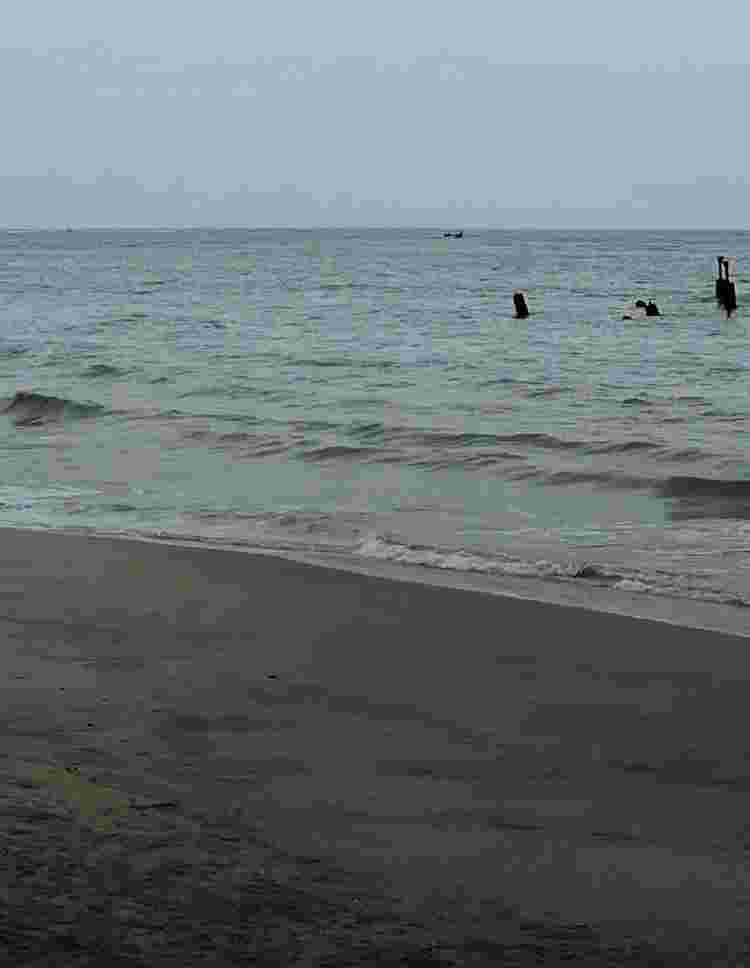 img-test