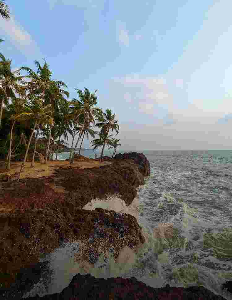 img-test