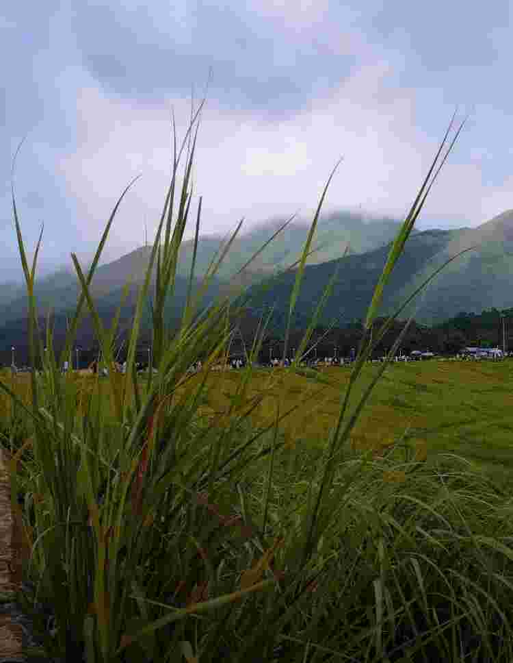 img-test